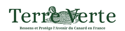 TERRE VERTE